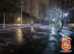 Дело возбуждено по факту гибели ребенка под машиной матери в Пушкине