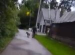 Житель ТиНАО пойдет под суд за натравливание собак на соседей