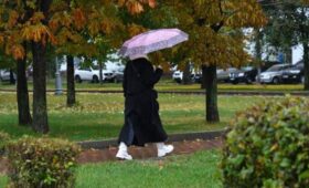 Дождь и до 10 градусов тепла ожидаются в Москве 7 ноября