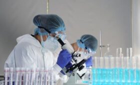 Роспотребнадзор опроверг данные о новом «необычном вирусе»