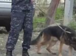 Задержанного в России по делу о стрельбе в Сухуме передали Абхазии