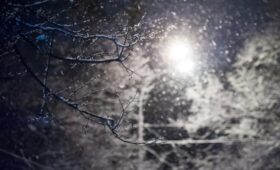 Первый снег выпал в Москве