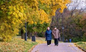 Володин заявил, что в России не собираются повышать пенсионный возраст