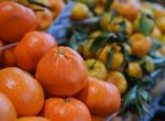 Первые мандарины появились на московских ярмарках выходного дня