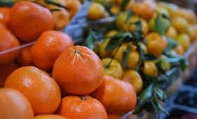 Первые мандарины появились на московских ярмарках выходного дня