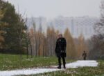 Облачная погода и до 6 градусов ожидаются в Москве 30 ноября