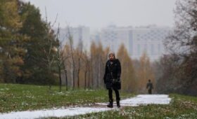 Облачная погода и до 6 градусов ожидаются в Москве 30 ноября