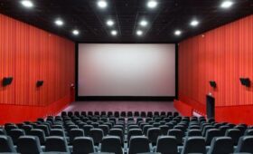 В Госдуме призвали МЧС РФ провести проверку всех российских кинотеатров