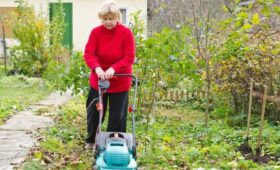 Эксперт Васецкий: перед заморозками нужно успеть провести стрижку газона