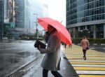 Облачная погода с дождем прогнозируется в Москве 10 ноября