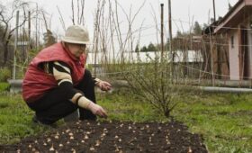 Юрист Манджиева: отели и автомастерские нельзя построить на дачном участке