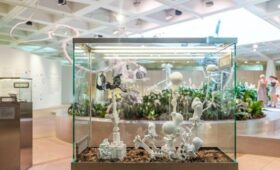 В Биокластере на ВДНХ пройдут обзорные экскурсии и квест с роботом-гидом