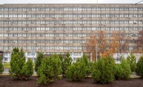 1,6 тысячи деревьев украсят улицы в ЮЗАО