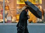 Желтый уровень погодной опасности объявлен в Московском регионе из-за ветра