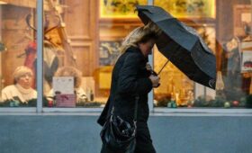 Желтый уровень погодной опасности объявлен в Московском регионе из-за ветра