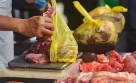 Продажу мяса кошек, собак и летучих мышей запретили в Джакарте