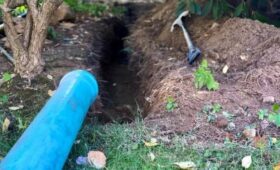 LADBible: во Франции мужчина нашел золото во время выкапывания бассейна