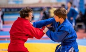 Москвичей пригласили на занятия по самбо