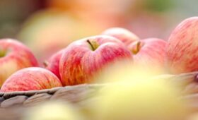 Афганистан отправил в Россию 50 тонн яблок из Кандагара