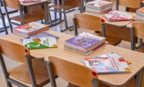 Глава АИДТ Цицулина предложила ввести маркировку на школьную мебель