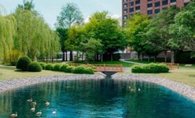 Реабилитация Кунцевских прудов началась на западе Москвы