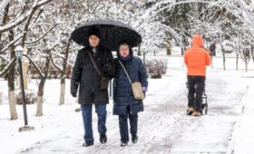 Заморозки начались в столичном регионе