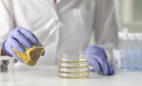 Роскачество обнаружило фальсификацию в половине оливкового масла