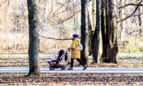 Синоптик Леус: в Москве начался первый день со среднесуточной температурой ниже нуля