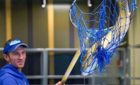 Белый амур появился в аквариумах рынка «Москва – на волне»