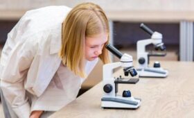 Москвичей пригласили на необычную выставку о плесени в столичный биокластер