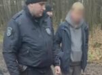 Мужчину обвинили в убийстве двух нянь в Подмосковье