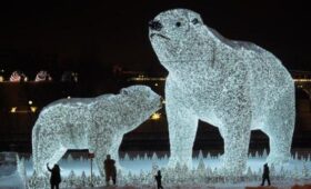 Праздничная композиция «Полярные медведи» появится на северо-востоке Москвы