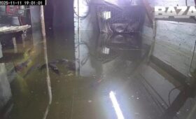Жительница Кемеровской области завела карпов в затопленном подвале дома