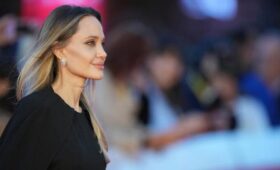 Сенатор Кастюкевич предложил Анджелине Джоли посетить новые регионы РФ