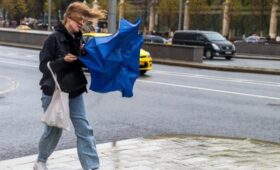 Москвичей предупредили о сильном ветре 14 ноября