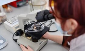 Роспотребнадзор взял на контроль первый случай смерти от птичьего гриппа H5N1