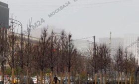 Опустившийся на Московский регион туман удержится до 11 утра