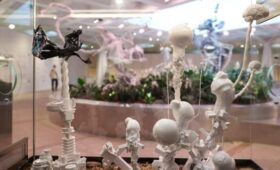 Выставка «Морфогенез. Третья природа» на ВДНХ продлена в Москве