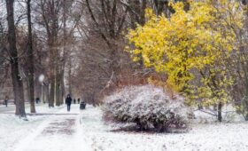 Синоптик Вильфанд: снегом покрыло до 90% территории России