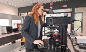 Производственные объекты появятся в районе Гольяново по проекту КРТ