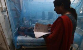 Роспотребнадзор будет следить за вспышкой лихорадки денге на территории Нигерии