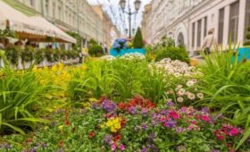Москвичи назвали самые живописные площадки фестиваля «Сады и цветы»