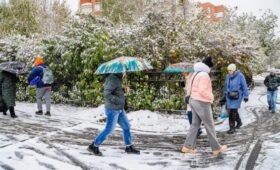 Москвичей предупредили о резком похолодании 15–16 ноября