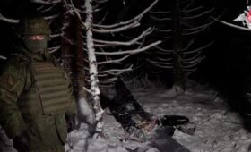 Минобороны РФ показало обломки дрона, пытавшегося атаковать резиденцию Путина