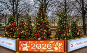 Елки городских проектов установили на Цветном бульваре в рамках «Зимы в Москве»