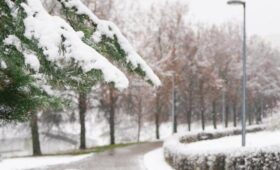 Снежный покров появится в столице на следующей неделе