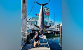 Американец выловил меч-рыбу весом 141 кг