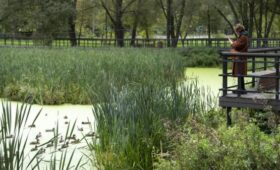 В Музее Москвы прошла дискуссия «Новая жизнь бывших промзон»