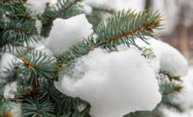 Около 30% месячной нормы осадков выпало в столичном регионе за ночь