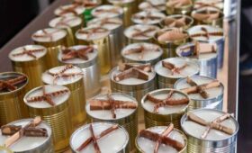 Московский Центр развития отправил более 40 тонн гумпомощи бойцам СВО